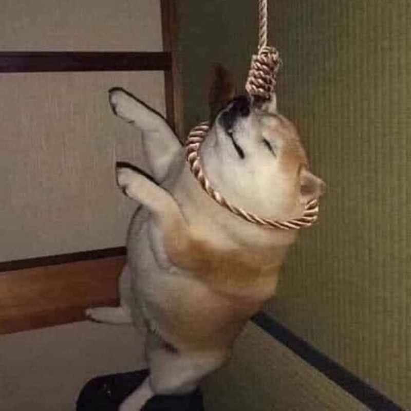 Tui không lo nghĩ, vì có nghĩ cũng lú