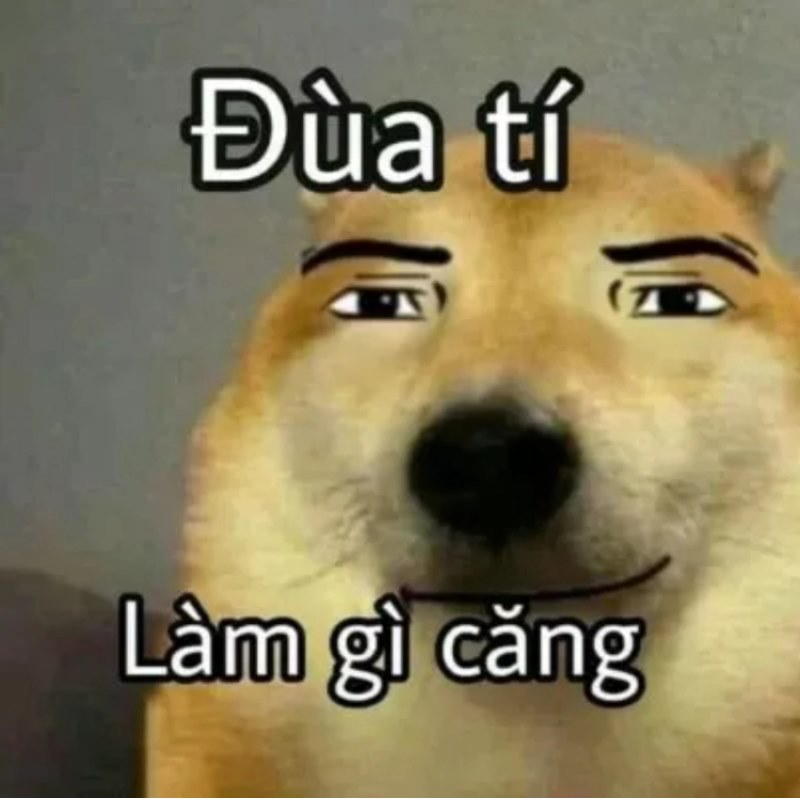 Tui nói từ ngữ như đang thí nghiệm cảm xúc
