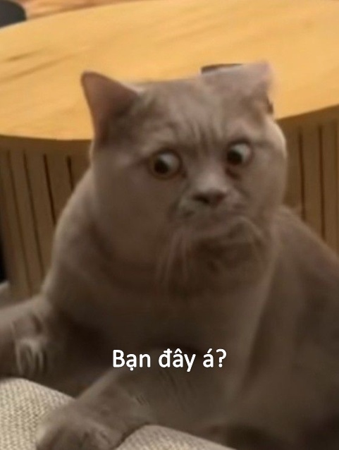 Tưởng đâu người ta im, ai dè bùng nổ