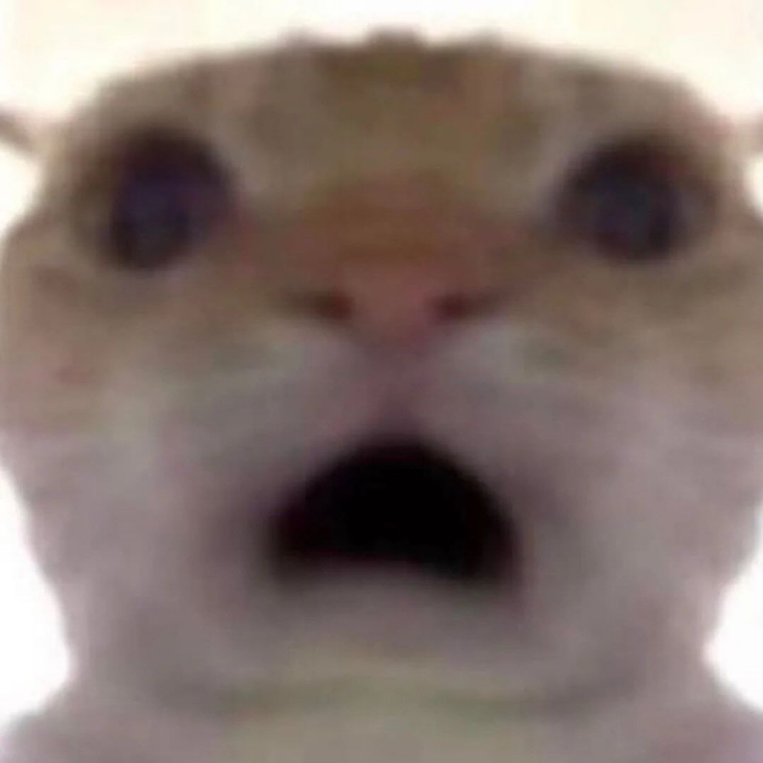 Tưởng hiểu người ta, ai ngờ lại hiểu sai