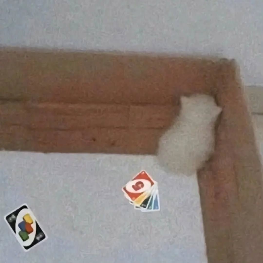 Uno meme độc đáo