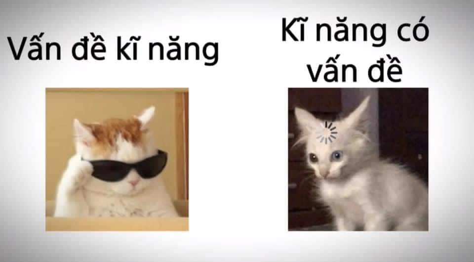 Vấn đề kỹ năng meme là gì