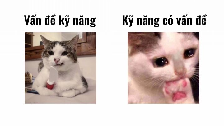 Vấn đề kỹ năng meme