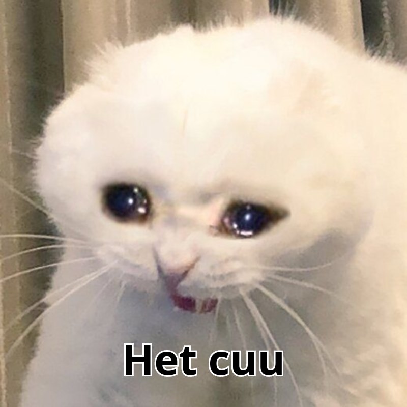 Grouping Các meme vô tri về động vật