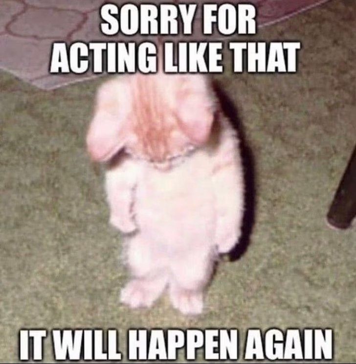 Xin lỗi bạn, tôi vẫn không hiểu mình sai chỗ nào