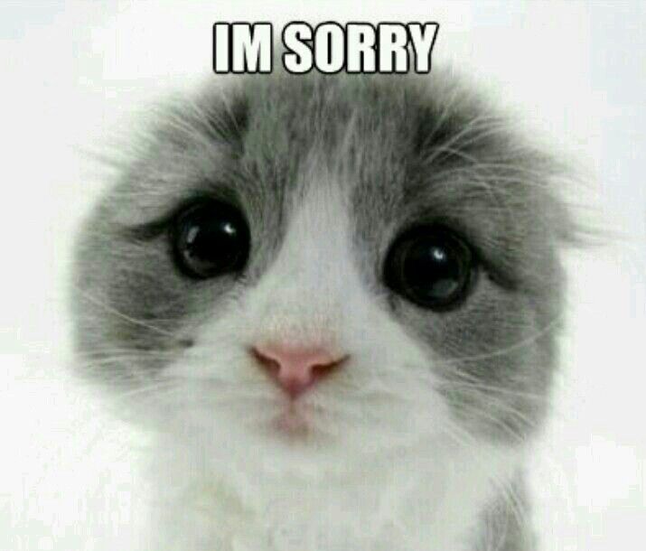 Xin lỗi bằng tiếng lòng không ai nghe thấy