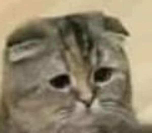 Xin lỗi chân thành, nhưng lại không có vẻ gì