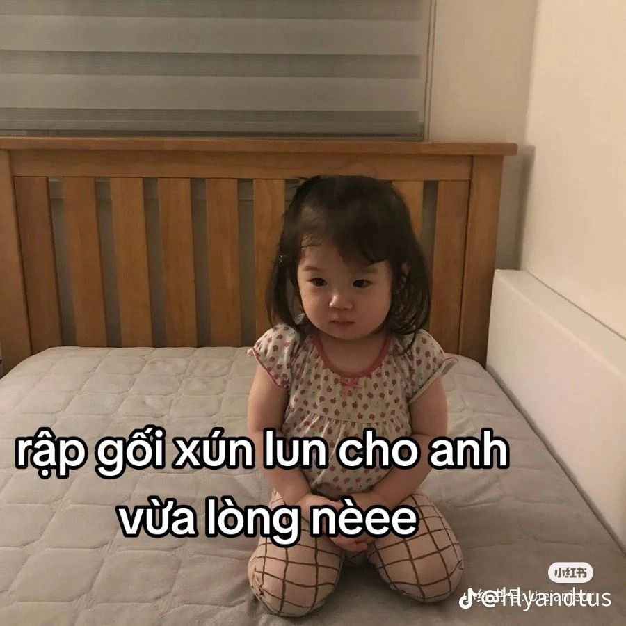 Xin lỗi là một loại phép màu, dùng khi hết lý lẽ