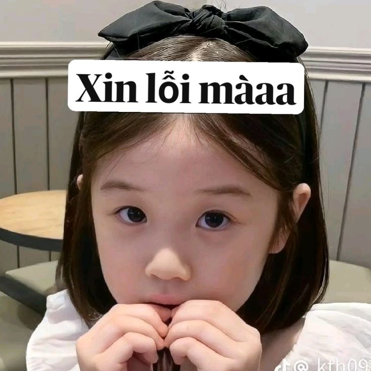 Xin lỗi nha, còn hiểu hay không thì tùy