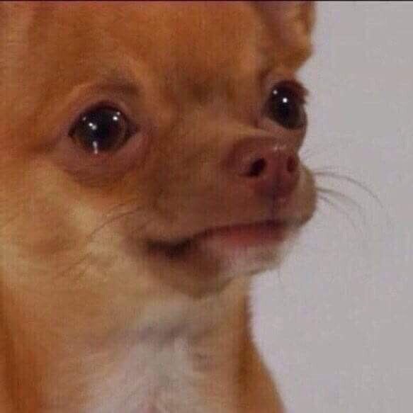 Xin lỗi nha, lần sau sẽ không… bị phát hiện