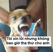 Xin lỗi nha, mai tính tiếp nha, đừng giận