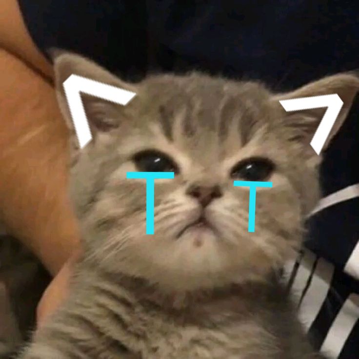 Xin lỗi rồi đó, nhưng đừng bắt mình suy ngẫm nữa