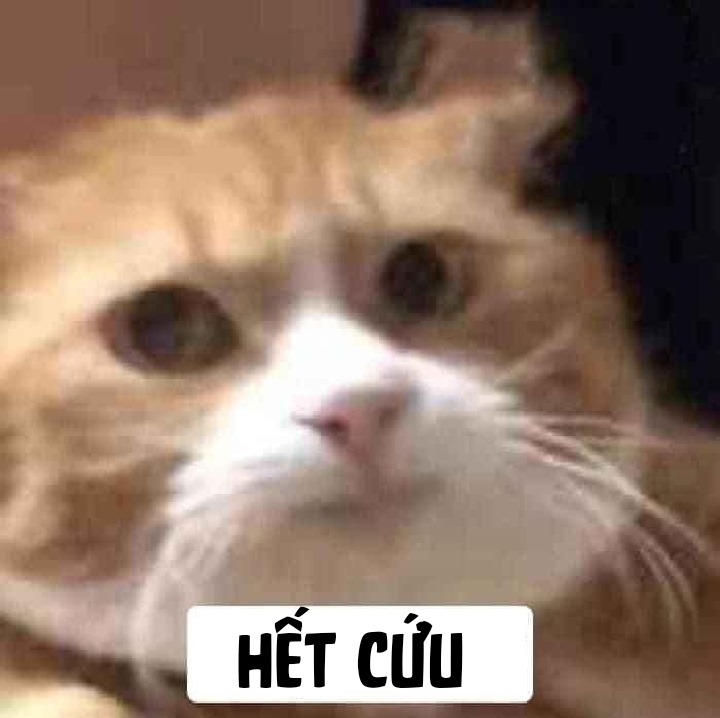 Xử vậy là hết cứu