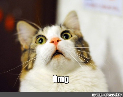 Meme: "Omg" - All Templates - Meme-arsenal.com