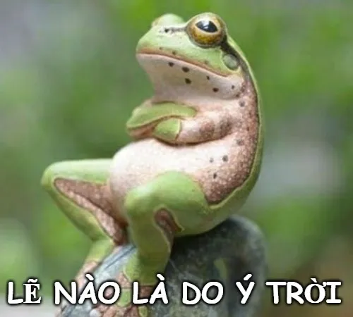 Meme ý trời bất lực