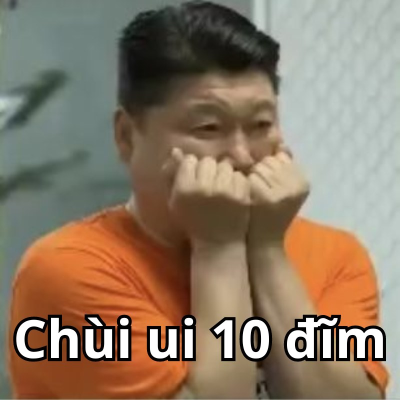 Meme 10 điểm