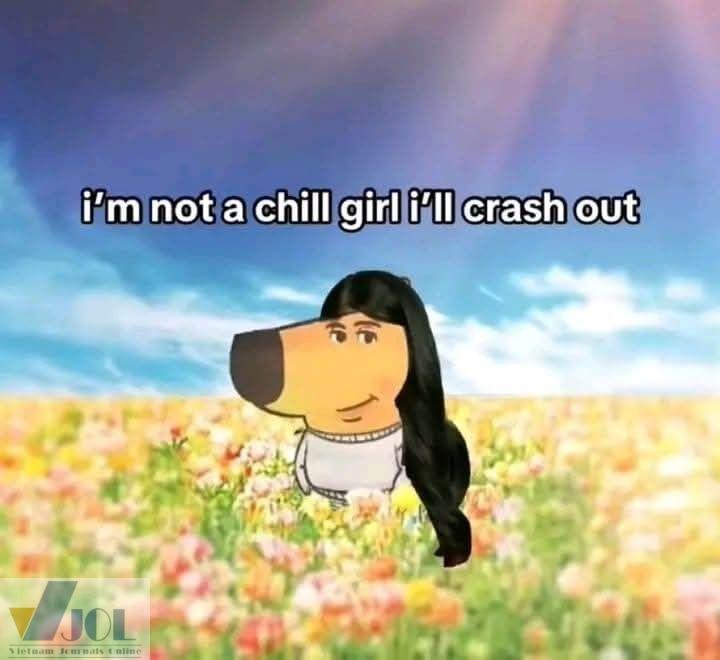 Chill guy buồn cười ảnh meme