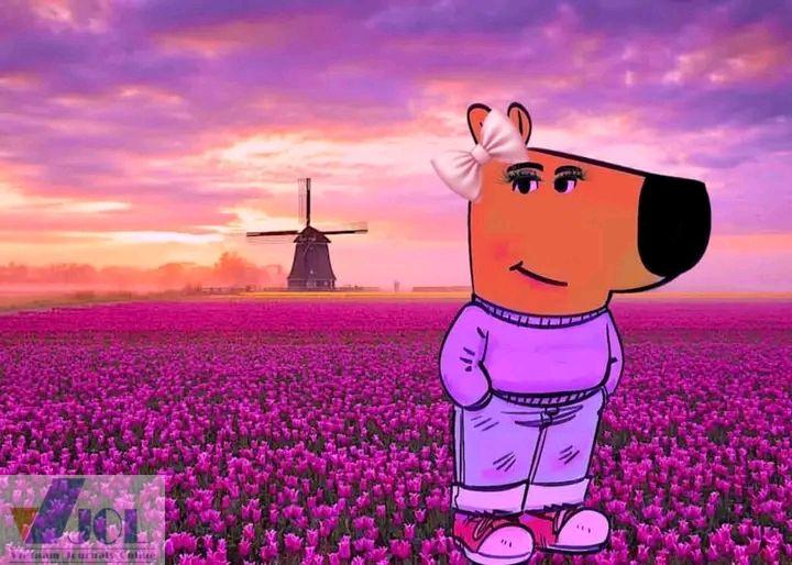 Chill guy nghiêm túc