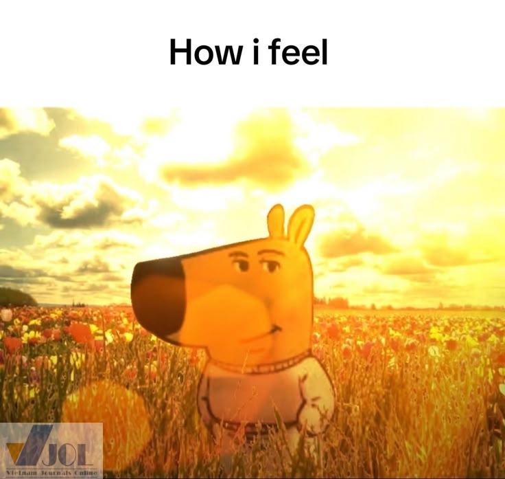 Chill guy ngộ nghĩnh vui