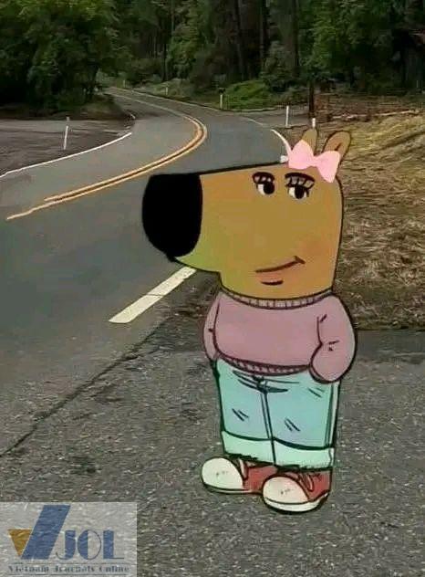 Chill guy nhẹ nhàng