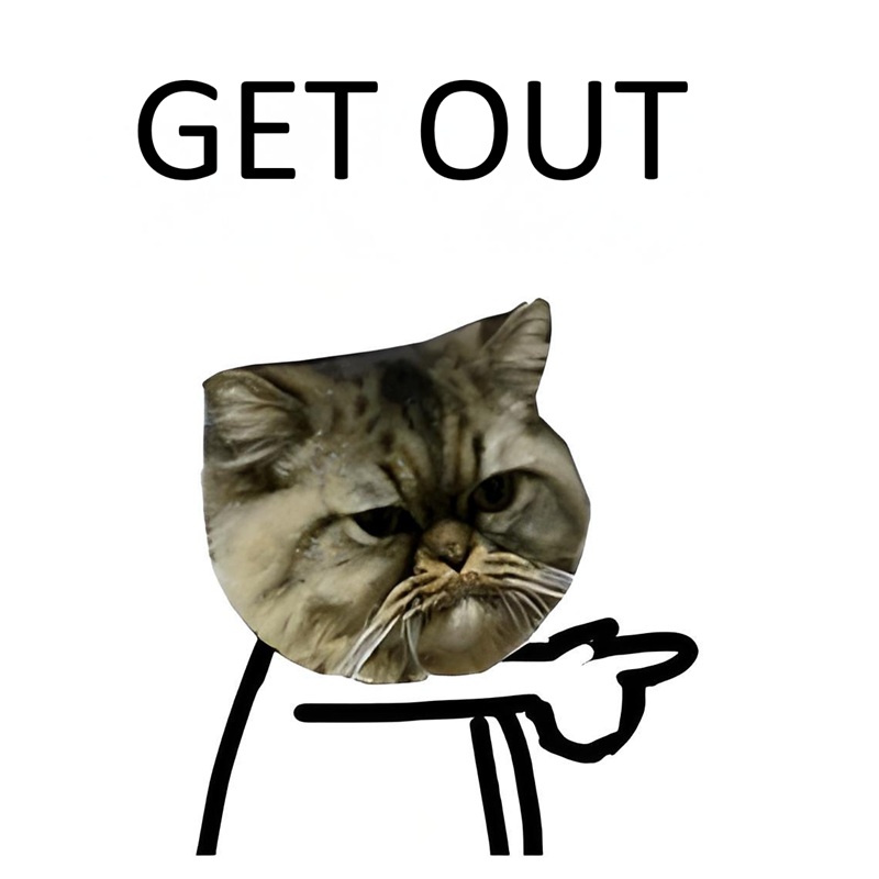 Get Out Meme