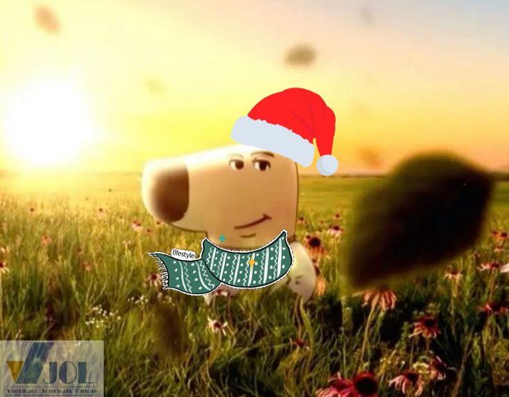 Im just a chill guy cu te