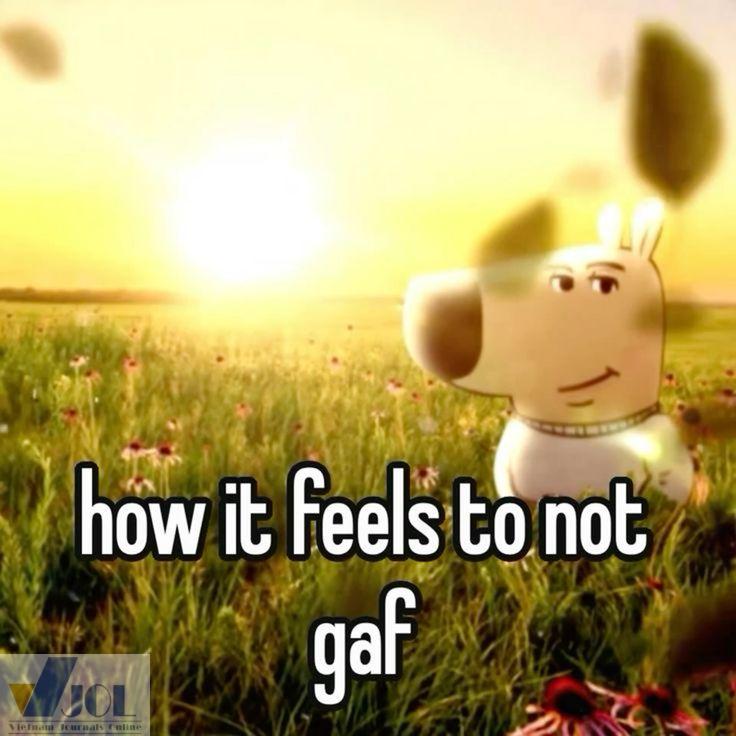 Meme hài chill guy ngộ nghĩnh