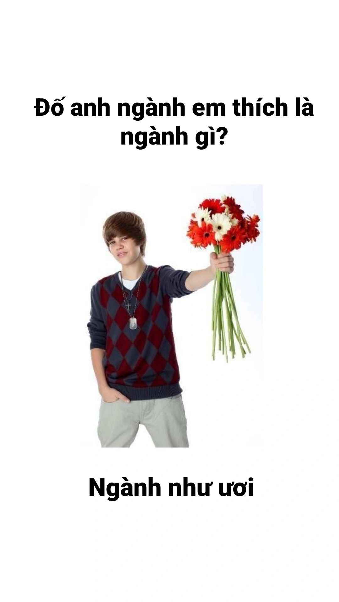 Meme yêu story format