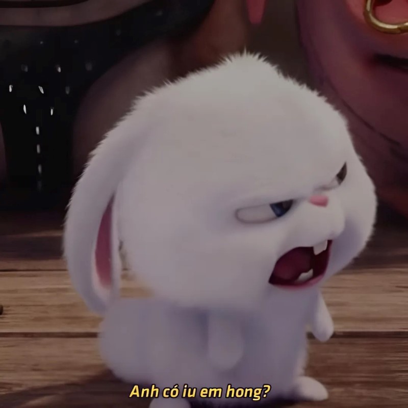 Meme về tình yêu hài