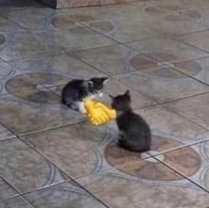 Bắt tay – TVMeme