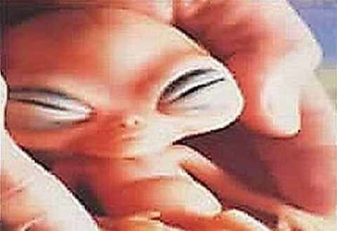 Hình ảnh alien đáng sợ