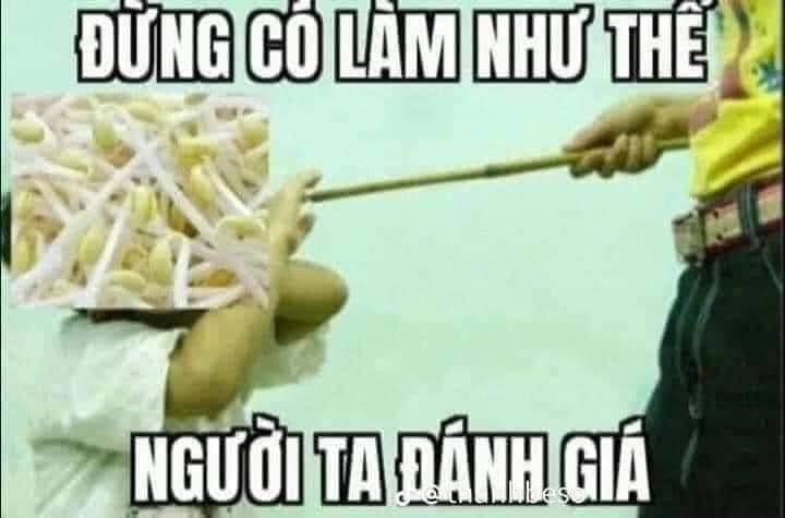 Người đàn ông cầm roi đánh giá "đừng có làm thế" – TVMeme