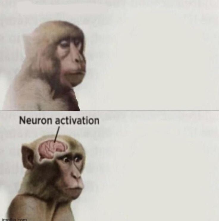 Neuron activation meme