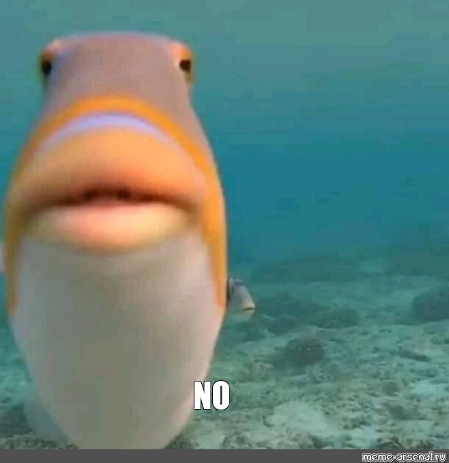 Meme NO