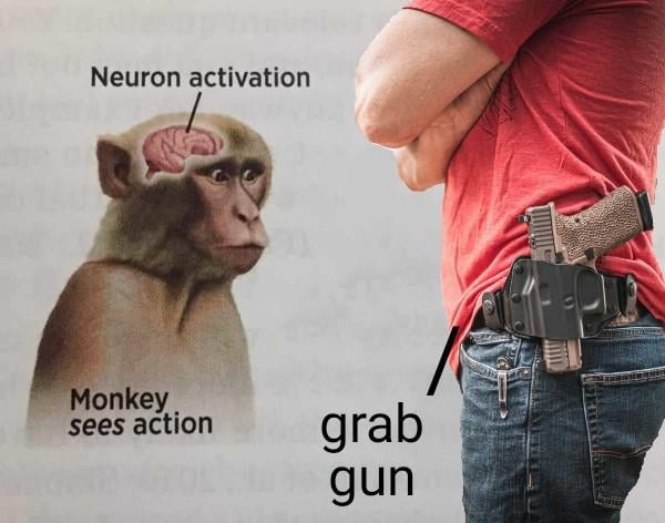 Neuron activation meme hài