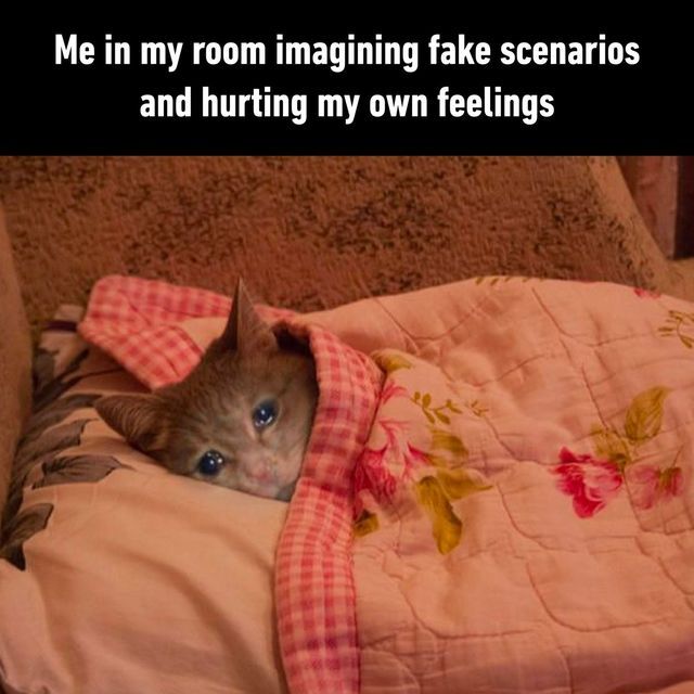 Overthinking Cat Meme