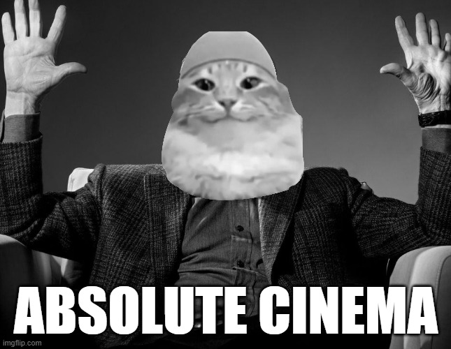 Absolute Islamic Cat Cinema