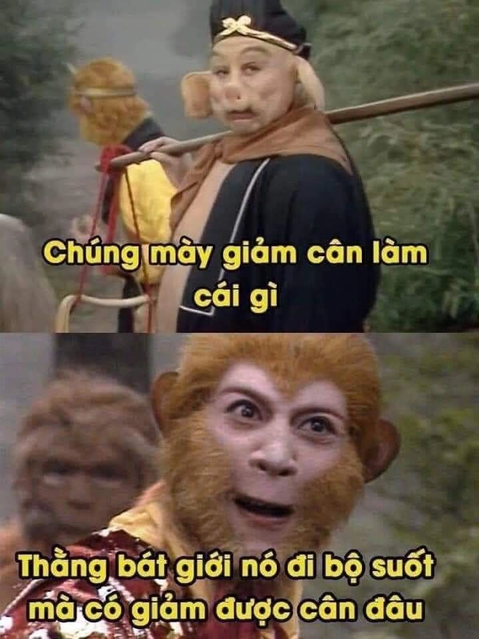 Tôn Ngộ Không meme giải trí