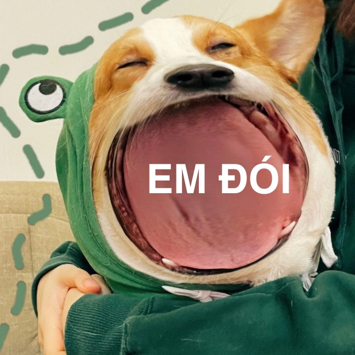 Cười banh nóc với 179+ hình ảnh chế meme hài bựa cực chất