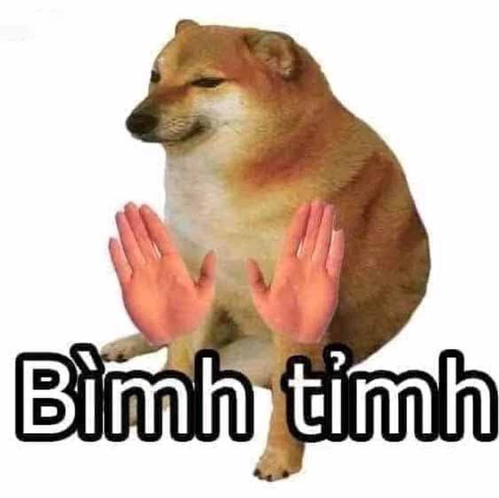 Xem ngay loạt 217+ ảnh meme chó Shiba hài hước khó đỡ