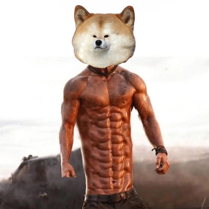 Chó cơ bắp khoe body