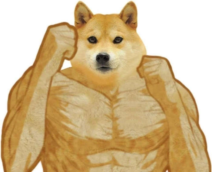 Con chó cơ bắp meme vui nhộn