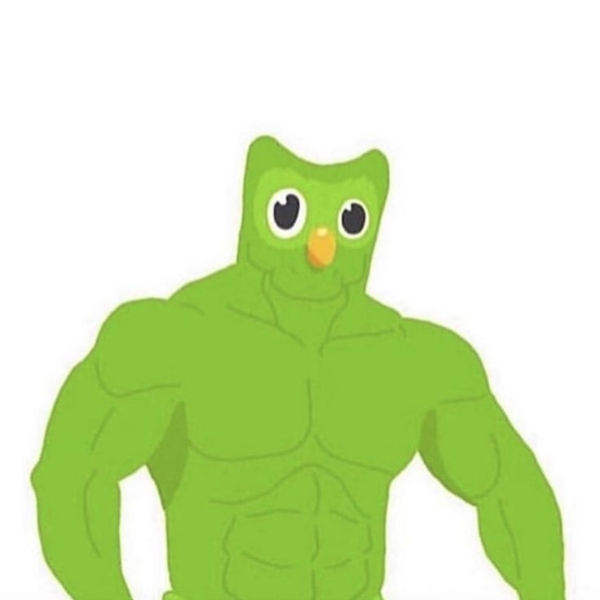 Duolingo cơ bắp meme