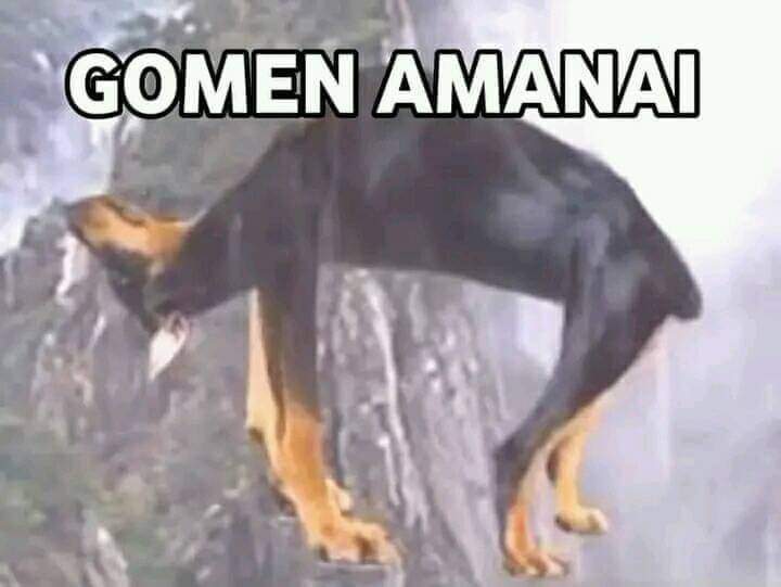 Gomen Amanai meme collection