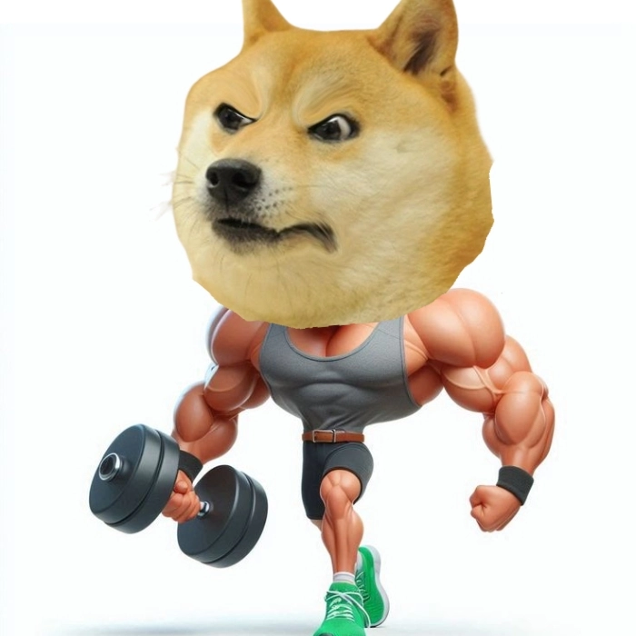 Chó cơ bắp tập tạ