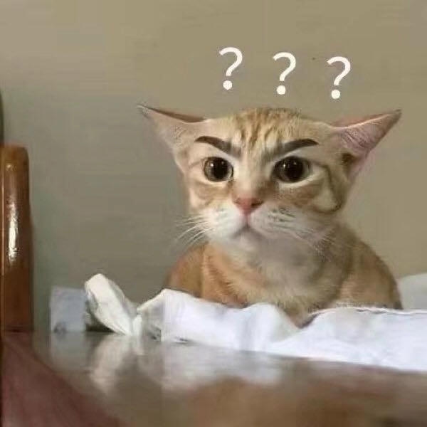 Meme hỏi chấm vui nhộn