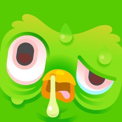 Ai cũng cảm nhận được sự đáng yêu khi nhìn thấy những tấm Duolingo meme thú vị