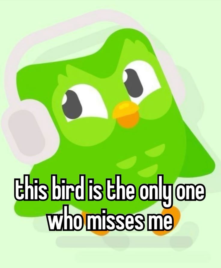 Ai cũng có thể tìm thấy niềm vui nhỏ khi chia sẻ một Duolingo meme đáng yêu