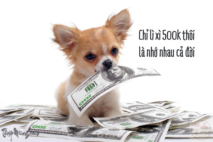 Ảnh chế chó đòi lì xì