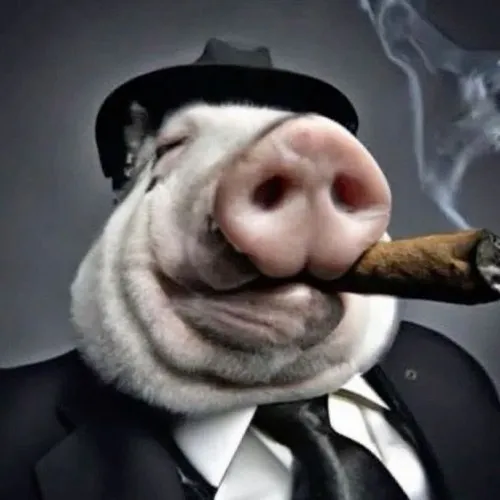 Meme heo thẫn thờ